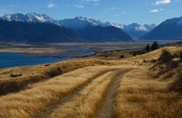 AAT Kings: New Zealand's Southern Sounds - Small Group Tour Image 4