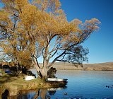 Grand South Island Loop Image 3