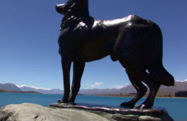 Uncover Queenstown to Wellington Image 2