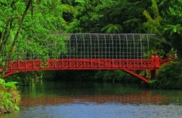 Leisure Time Travel: Taranaki Garden Festival Image 4