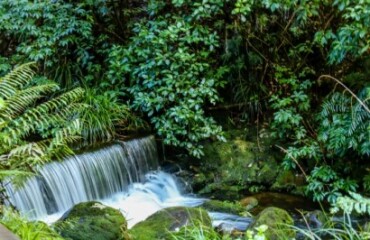 Leisure Time Travel: New Plymouth Festival of Lights Image 5