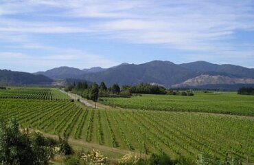 North to South Kiwi Explorer Image 3