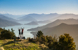 Click to view full image