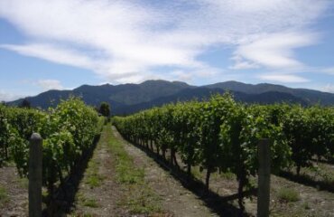 Southern Wonders to Northern Horizons Image 5