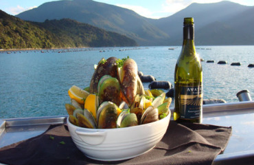 Vistas and Vines South Island tour Image 2