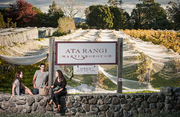 Taster Tour of the North Island Image 3