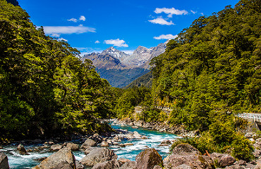 The Southern Circuit self drive tour Image 5