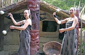 11 Day New Zealand Highlights Image 3