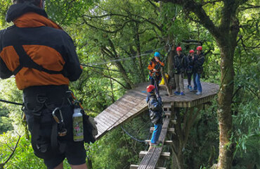 The Rotorua Collection Image 4