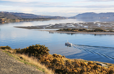 Southern Icons Adventure Image 5