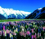 Land of the Rings Image 3