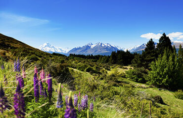 Southern Alps & Southern Lakes Image 2