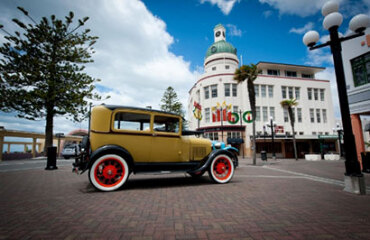 AAT Kings: New Zealand's Northern Gems - Small Group Tour Image 2