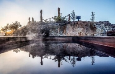 Birds of the North Island Tour Image 4
