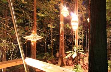 Highlights and Great Nights of Rotorua Image 3