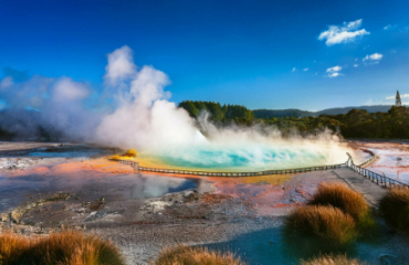 North Island Explorer - Accessible Tour Image 4