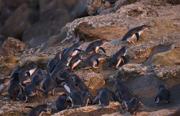 Southern East Coast Image 3