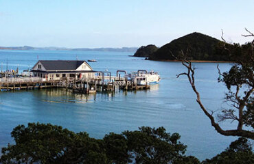 Discover Bay of Islands Tour Image 2