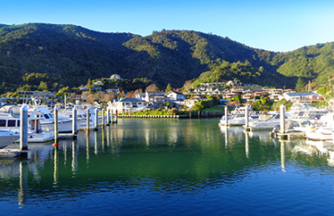 The Complete Kiwi Journey Image 2