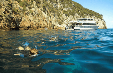 Intrepid Travel: Enchanting Northland Image 2