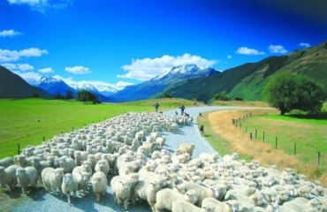 AAT Kings: Southern Wonders 26/27 Image 3