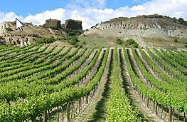 9 day Southern Scenic Wonders Image 3