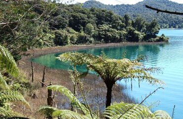 Intrepid Travel: New Zealand Northern Trail (Southbound) Image 4