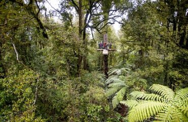 Escape to Rotorua Image 4