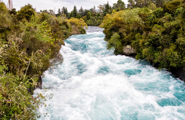 7 Day North Island Explorer Image 3
