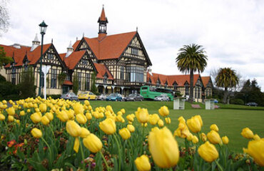 Auckland to Christchurch Highlights Image 3