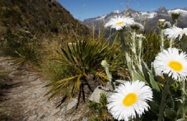 Hike Routeburn Track and Explore Queenstown Image 5