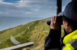 Click to view full image