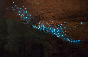 Geothermal Journey Image 2