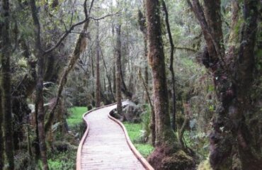 Classic New Zealand Tour Image 3