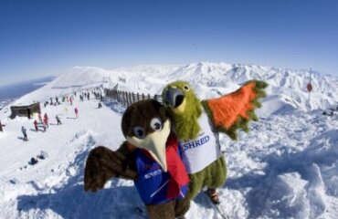 Family Fun at Mt Hutt Skifield Image 5