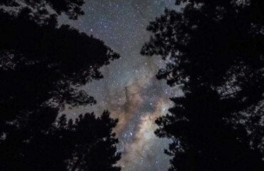 New Zealand Stargazing Tour Image 3