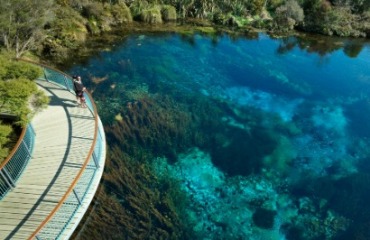 The Top of the South Adventure Trail Image 5