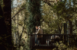 Click to view full image