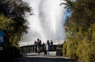 AAT Kings: New Zealand's Northern Gems - Small Group Tour Image 3