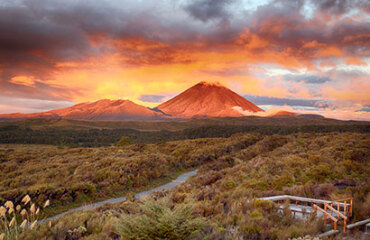 New Zealand Stargazing Tour Image 4