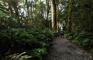 Hike Milford Track & Explore Queenstown Image 4