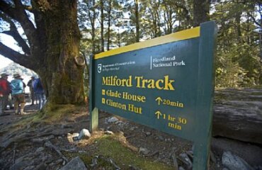 Southern Highlights and Milford Track Great Walk Image 3