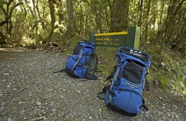 Milford Track & South Island Explorer Image 4