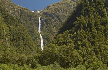 Southern Highlights and Milford Track Guided Walk Image 5