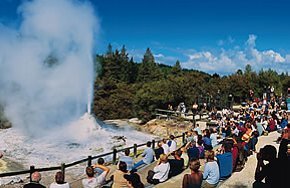 Waitomo, Rotorua and Hobbiton Escape Image 4