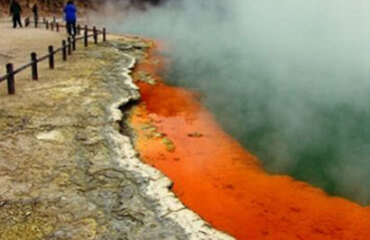 The Best of New Zealand Tour Image 4