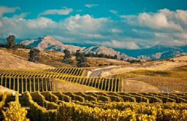 The Canterbury Charm Tour Image 2