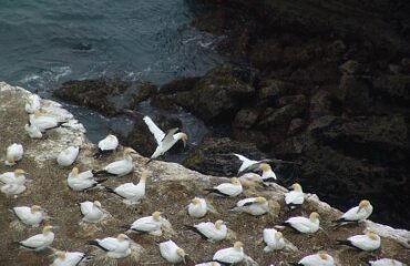 North Island Southbound Highlights Image 5