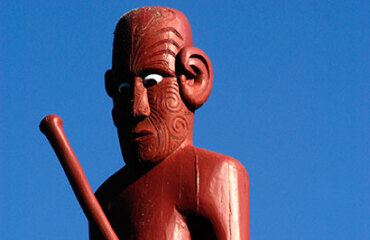 Bay of Islands Encounter Image 2