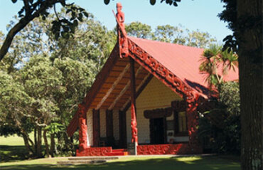 New Zealand Odyssey Image 5